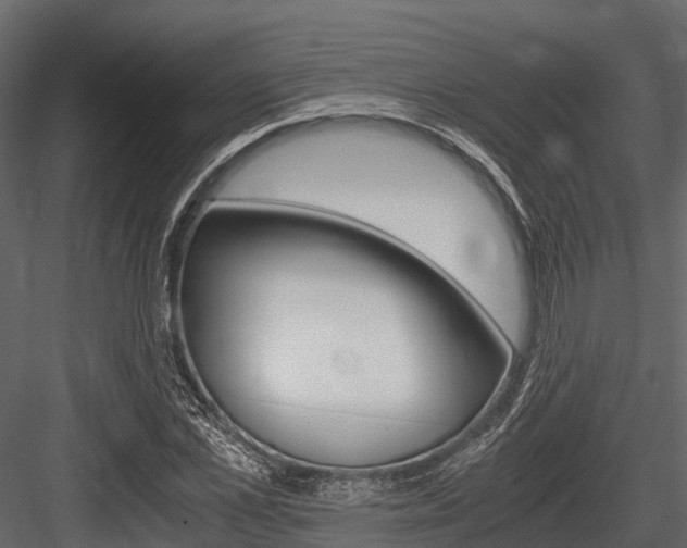 X0000084550973200702230930