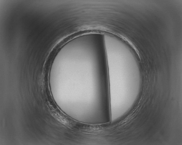 X0000084550975200702230930