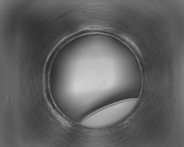 X0000084550976200702230930