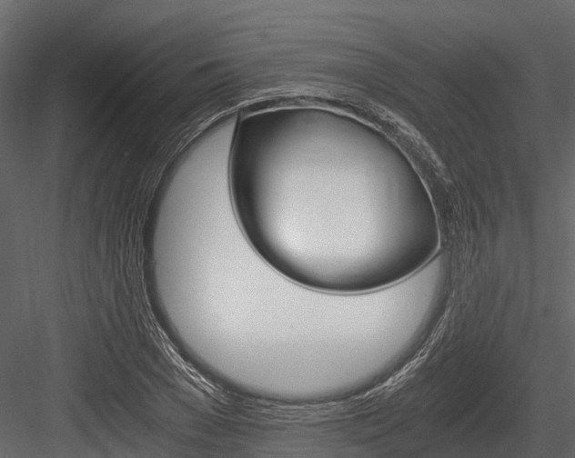 X0000084550977200702230930