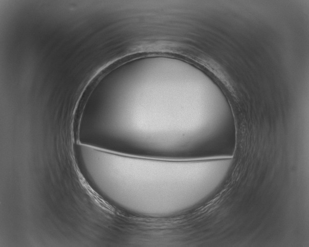 X0000084550980200702230930
