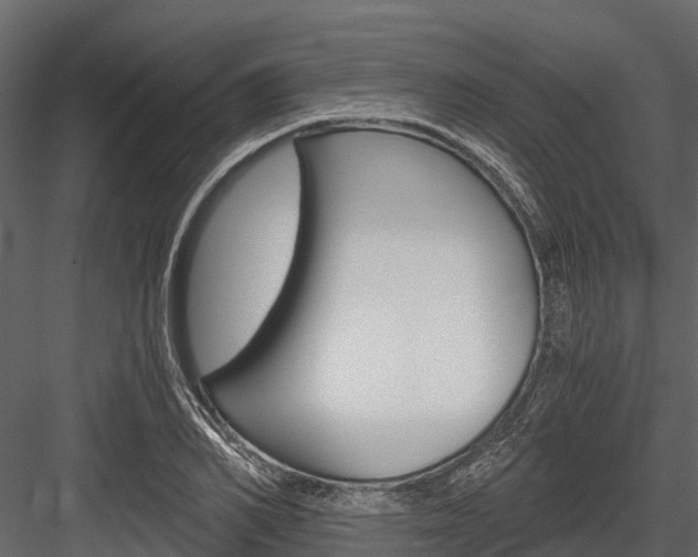 X0000084550982200702230930