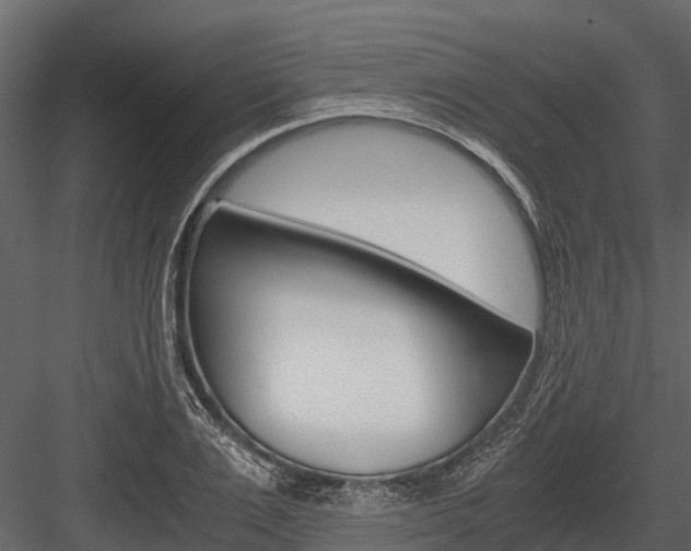 X0000084550983200702230930