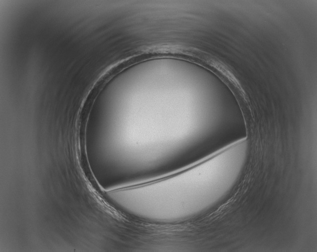 X0000084550984200702230930