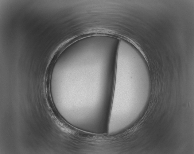 X0000084550987200702230930
