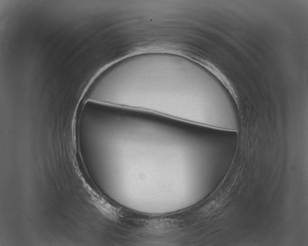 X0000084550988200702230930