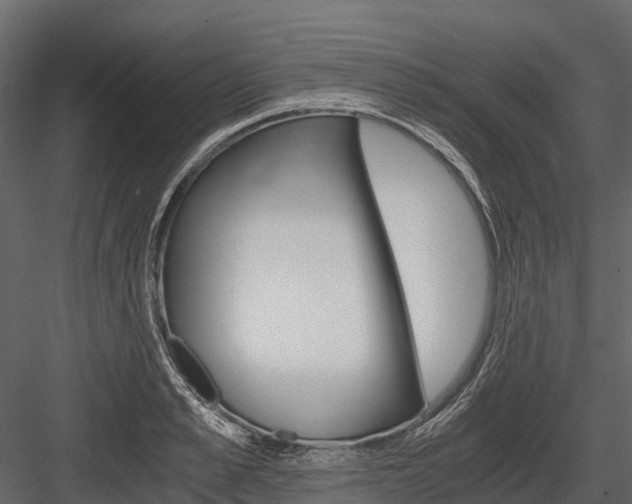 X0000084550989200702230930