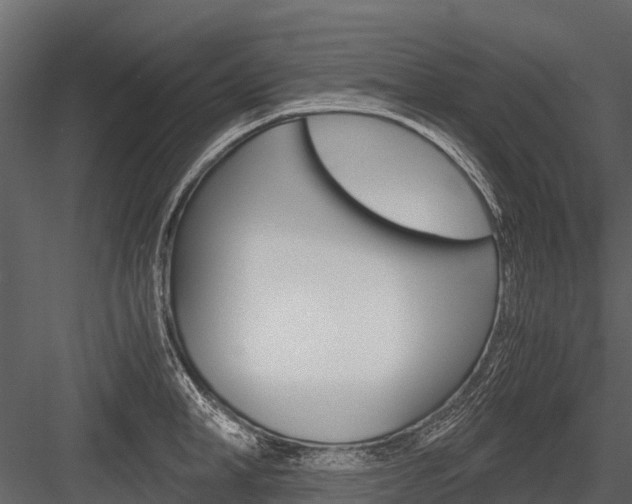 X0000084550998200702230930