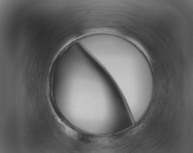 X0000084550999200702230930