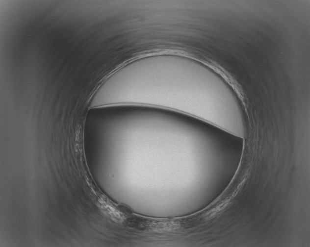 X0000084551001200702230930