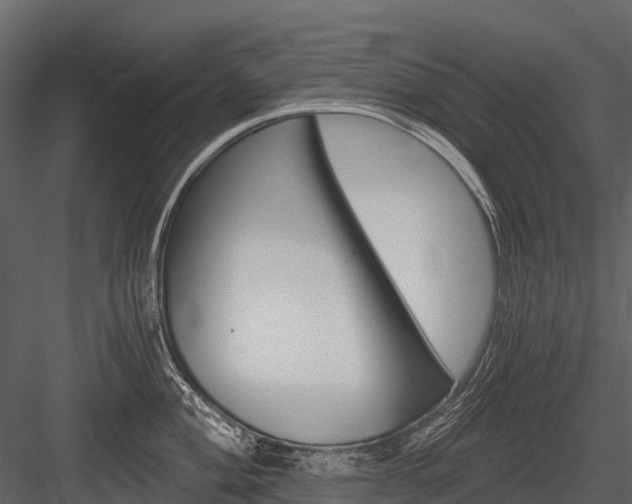 X0000084551004200702230930