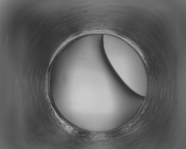 X0000084551006200702230930