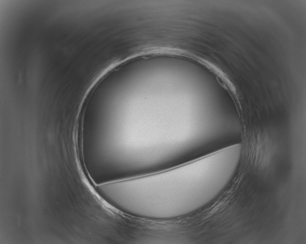 X0000084551007200702230930