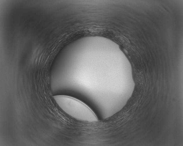 X0000084551009200702230929