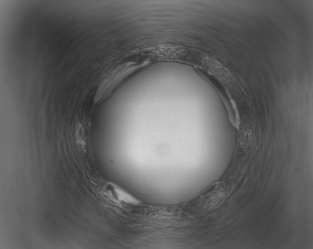 X0000084551010200702230929