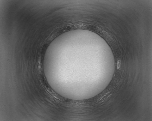 X0000084551011200702230929