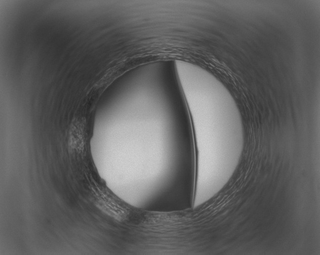 X0000084551012200702230929