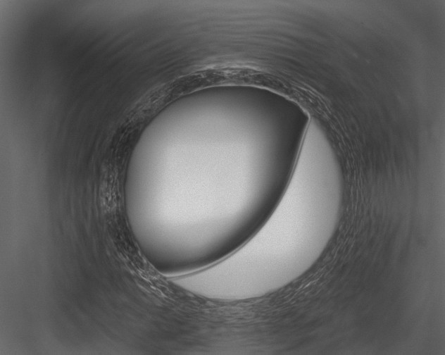 X0000084551014200702230929