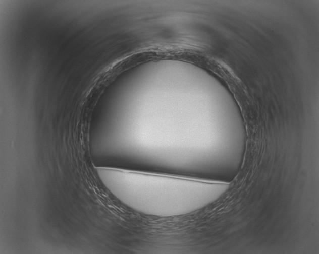 X0000084551016200702230929