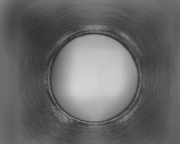 X0000084551017200702230929
