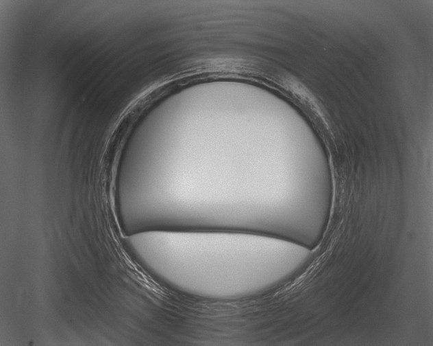 X0000084551019200702230929