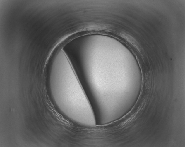 X0000084551021200702230929