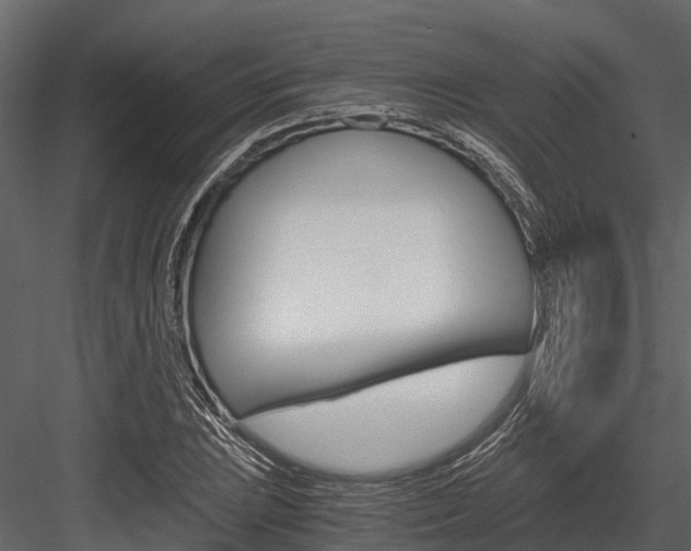 X0000084551023200702230929