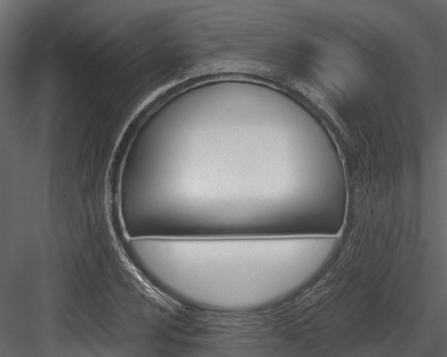 X0000084551024200702230929