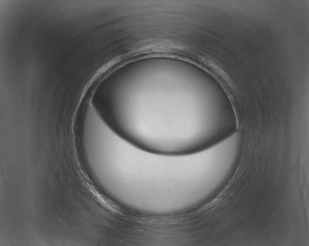 X0000084551026200702230929
