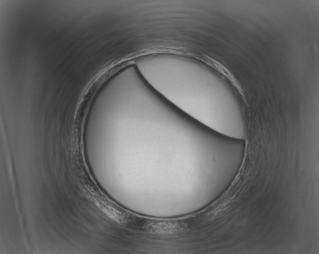 X0000084551027200702230929