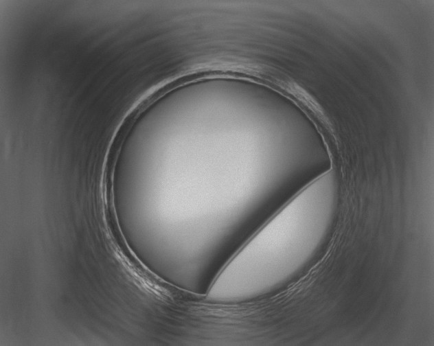 X0000084551028200702230929