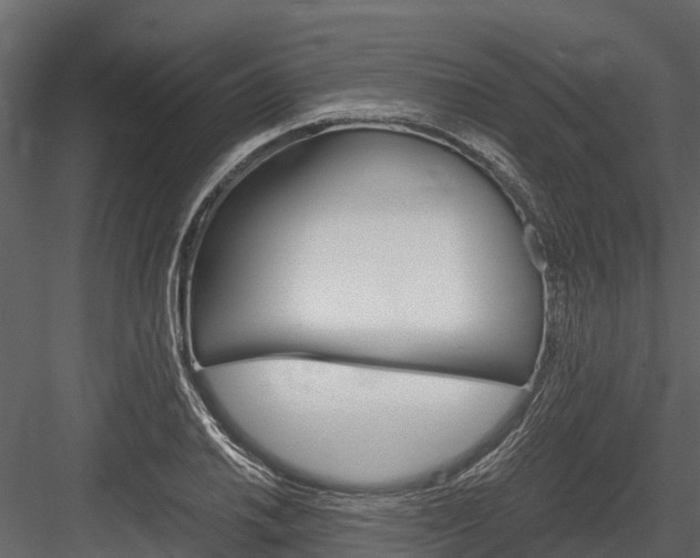 X0000084551030200702230929