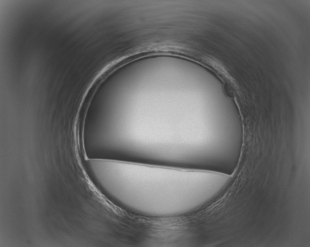 X0000084551032200702230929
