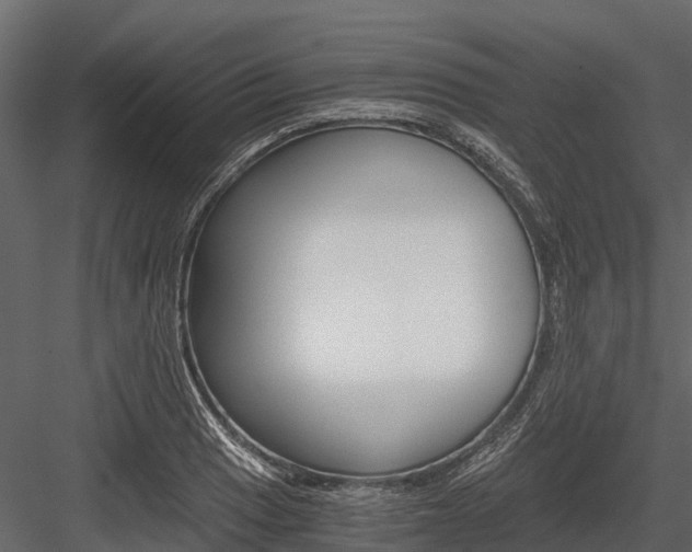 X0000084551033200702230929