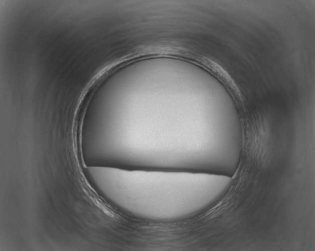 X0000084551035200702230929