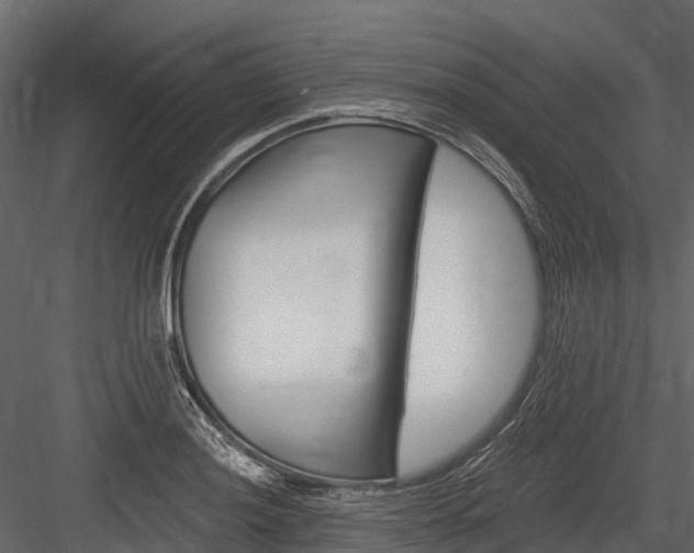 X0000084551036200702230929