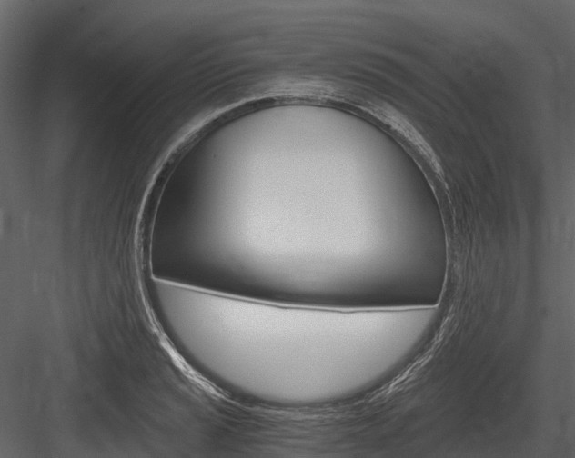 X0000084551037200702230929