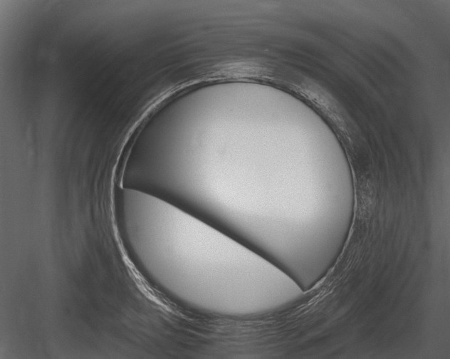 X0000084551039200702230929