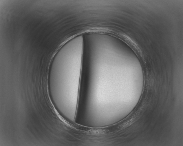 X0000084551041200702230930