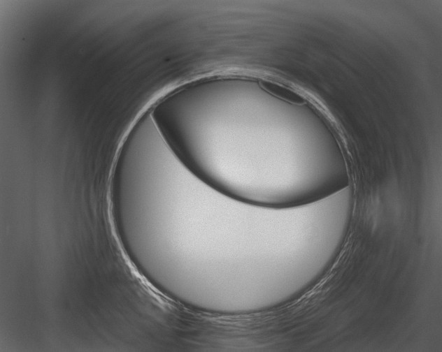 X0000084551048200702230930