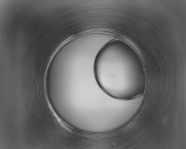 X0000084551050200702230930