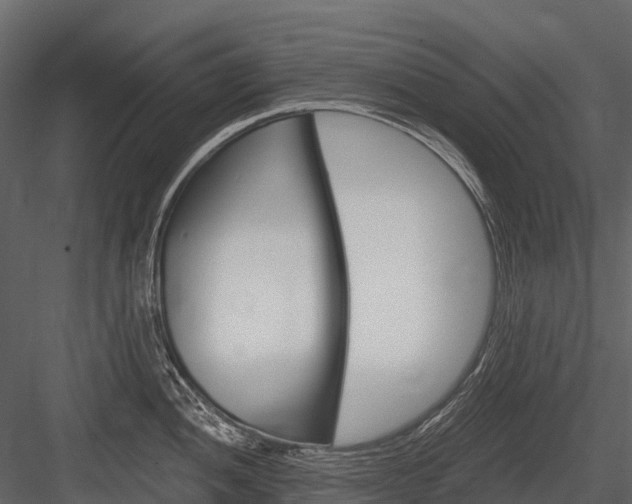X0000084551052200702230930