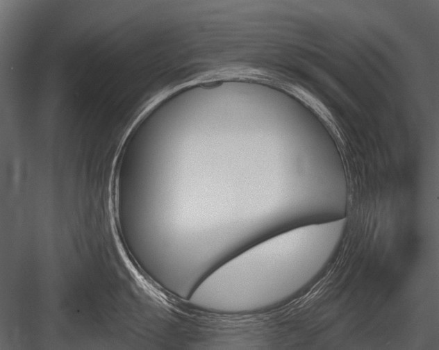 X0000084551055200702230930