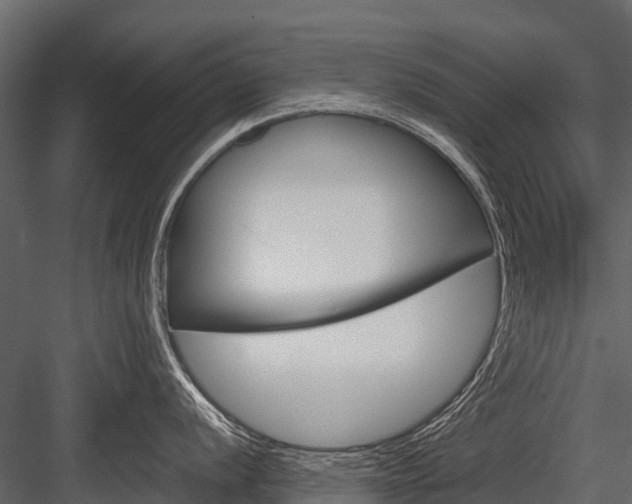 X0000084551056200702230930