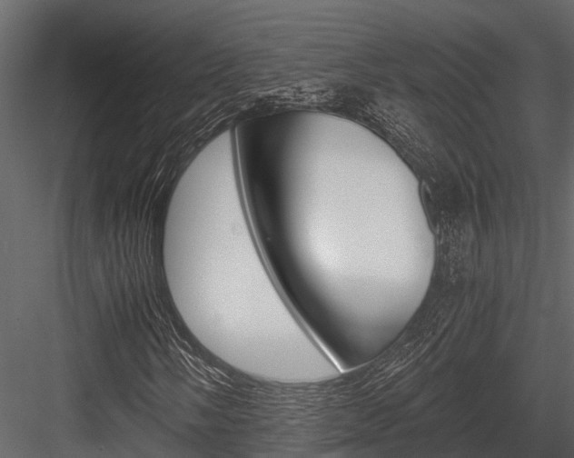 X0000084551058200702230929