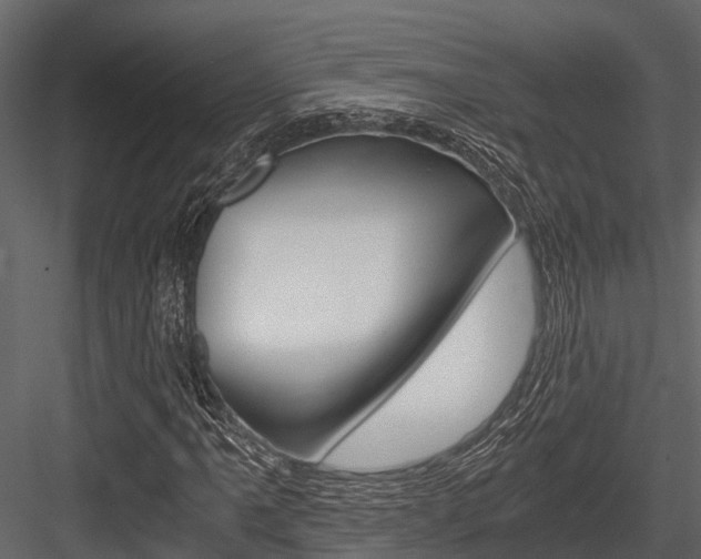 X0000084551061200702230929