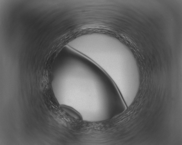 X0000084551062200702230929