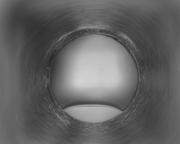 X0000084551064200702230929