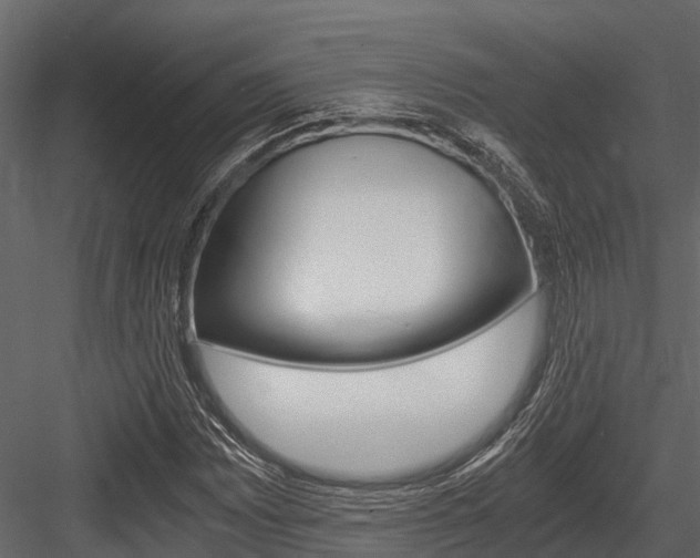X0000084551065200702230929