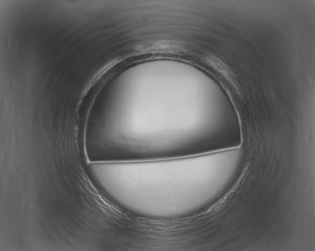 X0000084551066200702230929